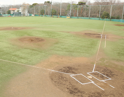 総合グラウンド