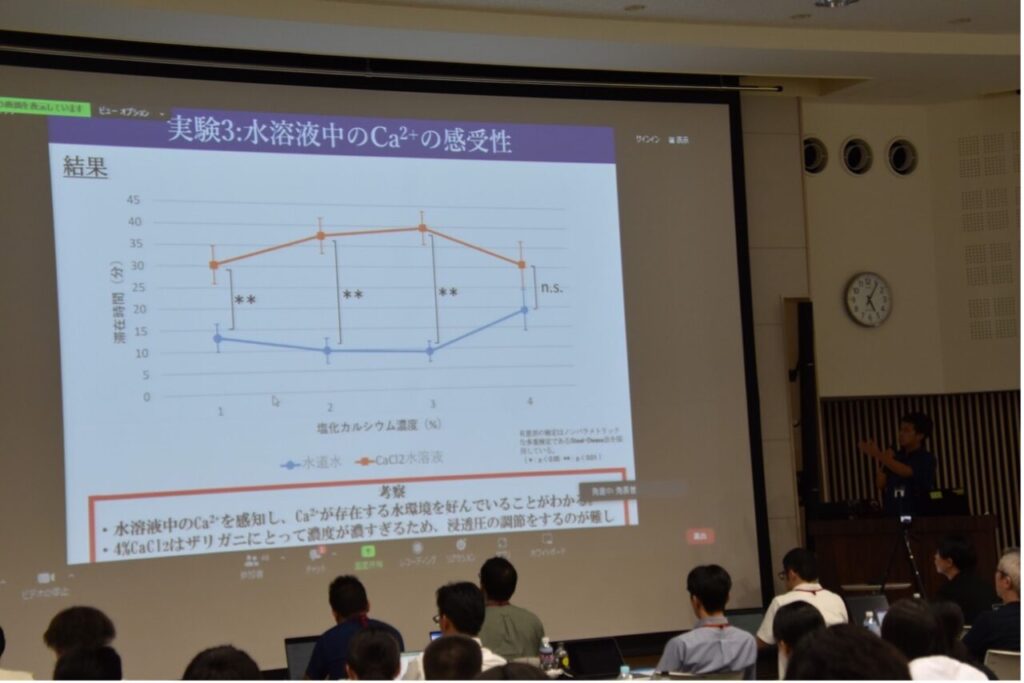 プレゼン中のディスプレイ